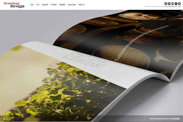 R22产品包装设计类响应式网站模板