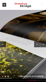 R22产品包装设计类响应式网站模板